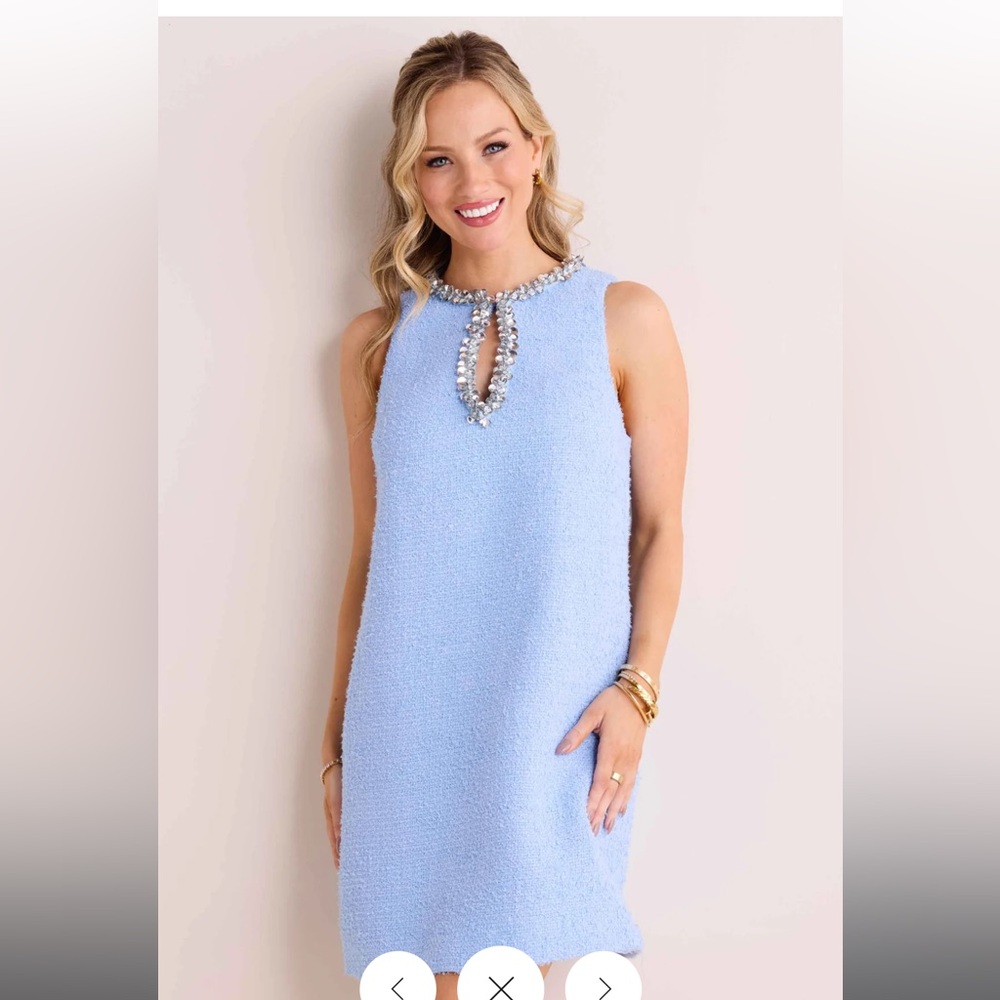 Avara Tweed Dress